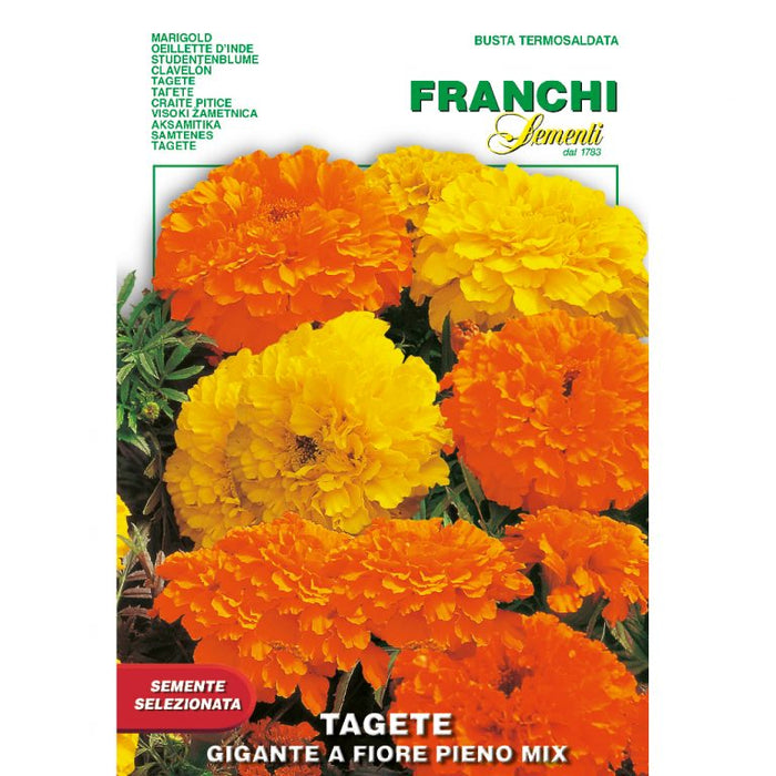 Marigold-Mixed-Colours-768x768