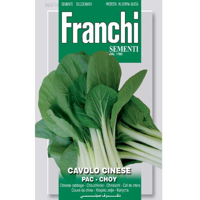 Chinese Cabbage - Pac Choy — Hadeco.co.za