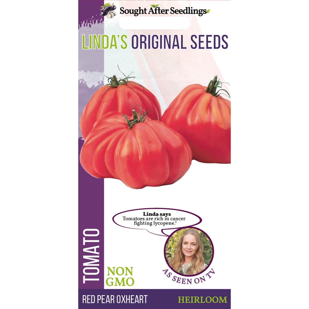 Tomato - Red Pear Oxheart — Hadeco.co.za