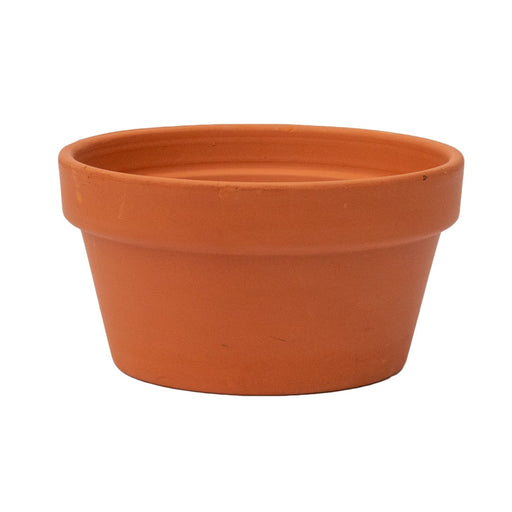 TC-BOWL-15CM-6002037903914