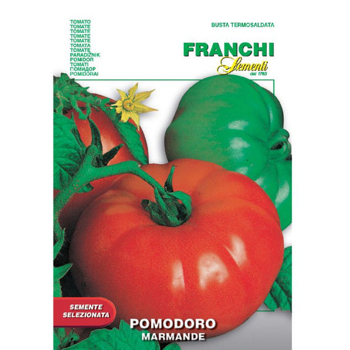 Tomato-Marmande-768x768