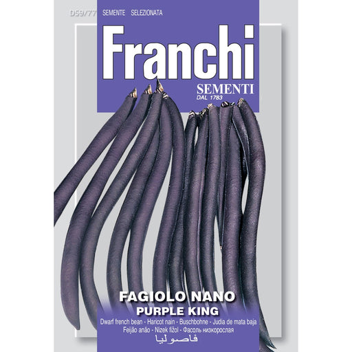 beans-dwarf-purple-king