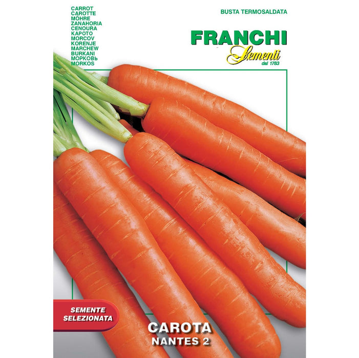 carrot-nantes-2