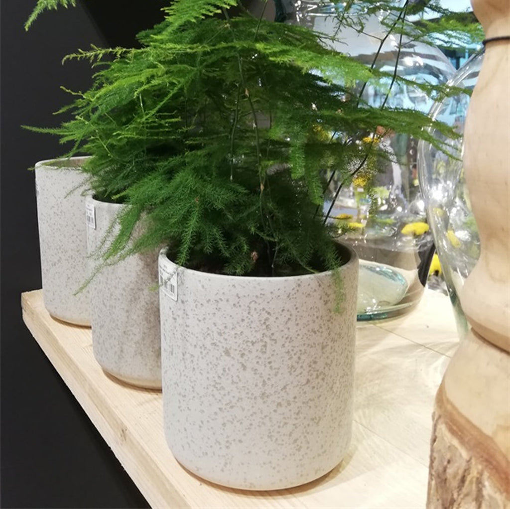 Cover Pots — Hadeco.co.za