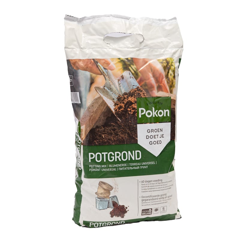 pocoran商品 pogrond_1024x1024.jpg?v=1685634781